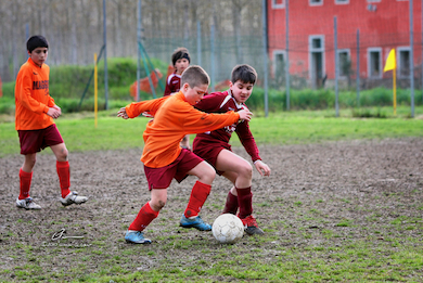 Torneo Forcoli