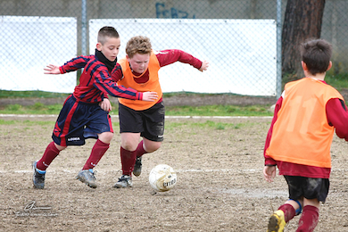 Torneo Forcoli