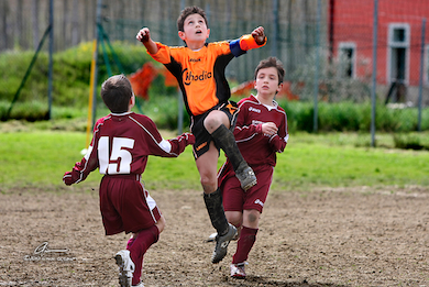 Torneo Forcoli