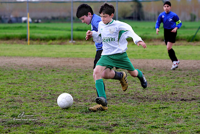 Torneo Forcoli