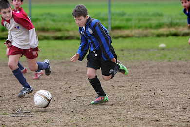 Torneo Forcoli